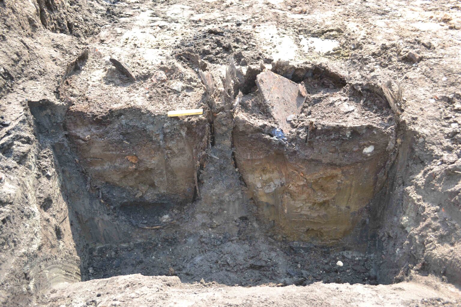 19th-Century Cemetery Linked to Cholera Epidemic Excavated in Copenhagen